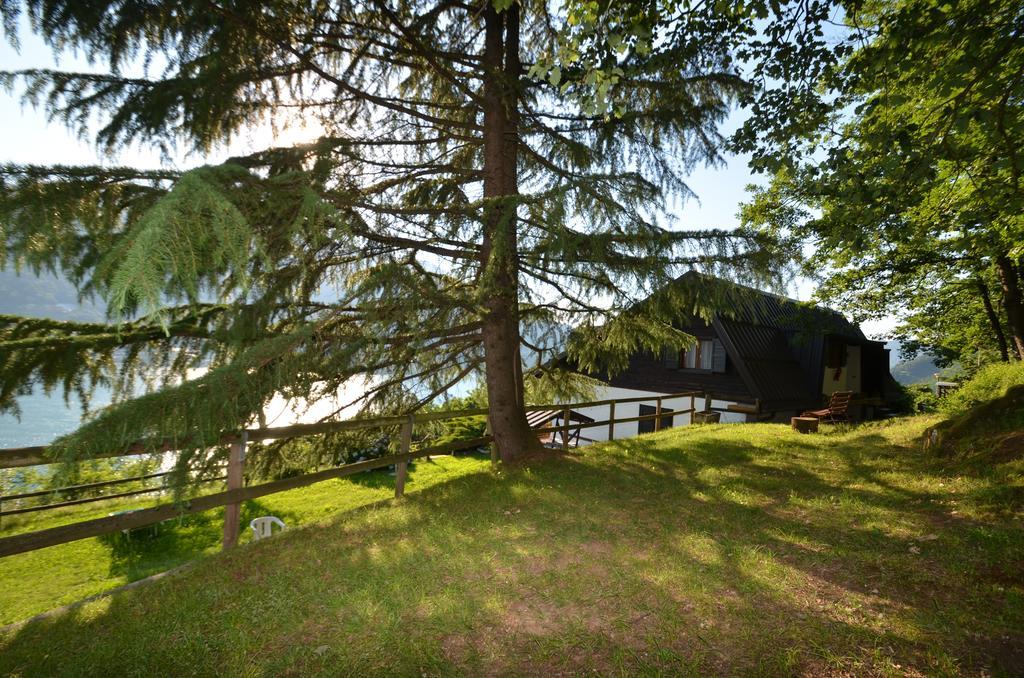 Trentino Appartamenti Oss Tenna Exteriér fotografie